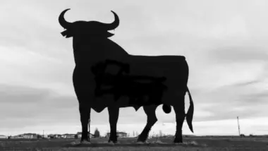 silhouette of bull in a field