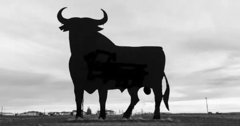 silhouette of bull in a field